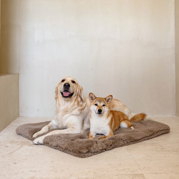 The Lola Pet Pad | Desert Dune