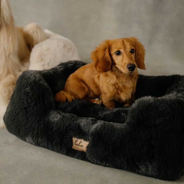 The Lola Pet Bed | Charcoal Grey