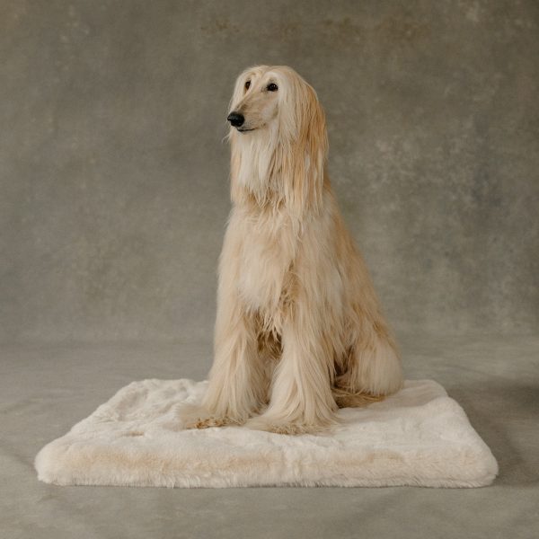 The Lola Pet Pad | Bondi Beige